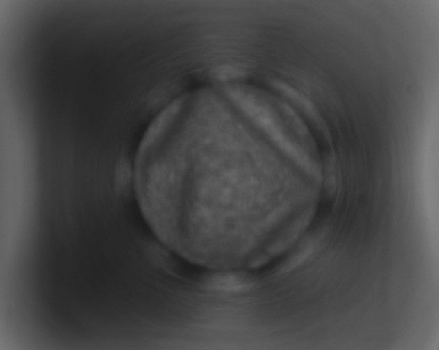 X0000100840523200807070936