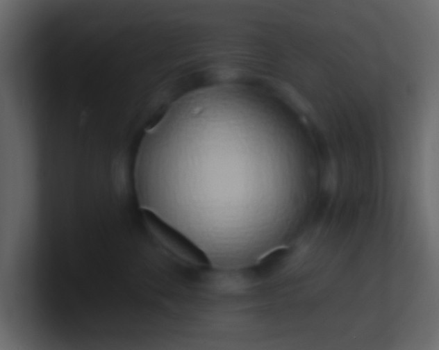 X0000100840524200807070936