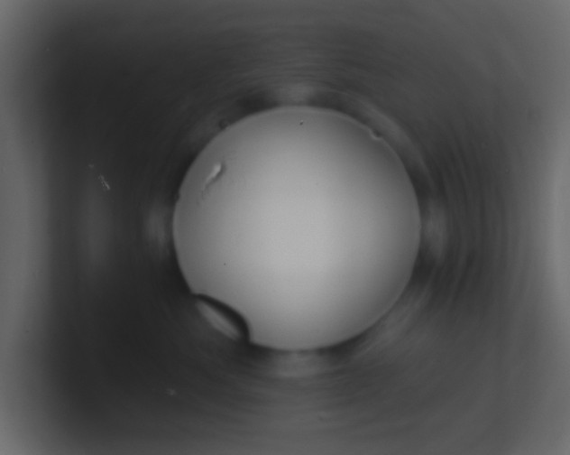 X0000100840525200807070936