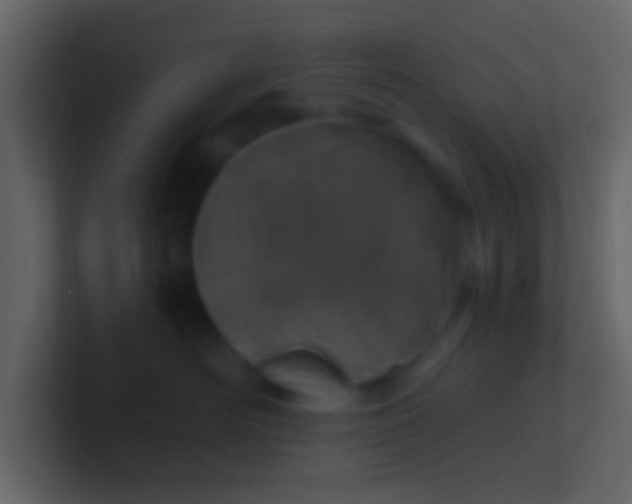 X0000100840526200807070936