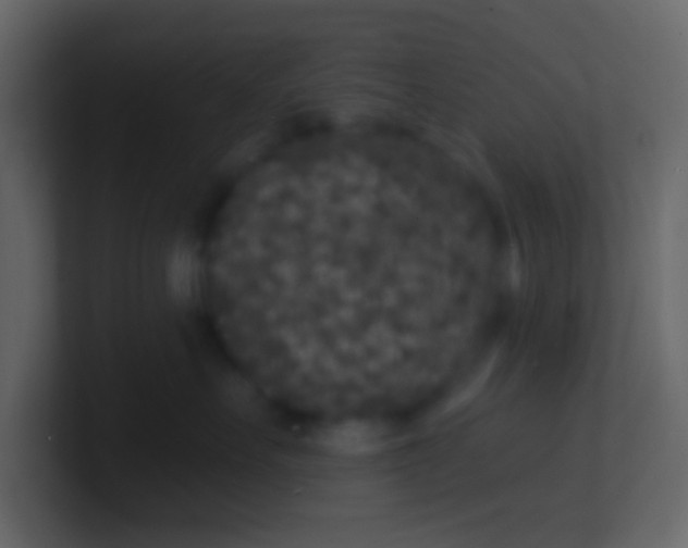 X0000100840527200807070936