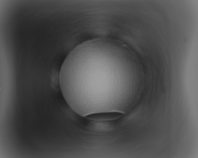 X0000100840528200807070936