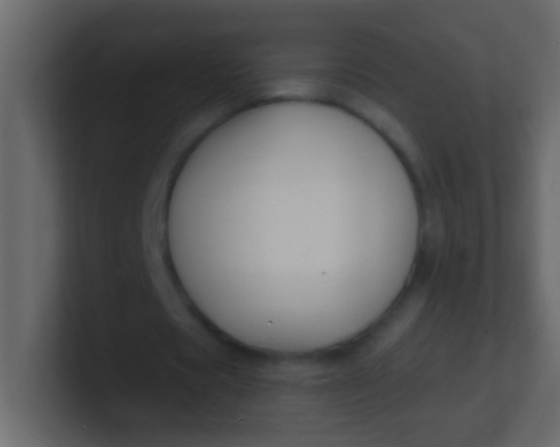 X0000100840529200807070935