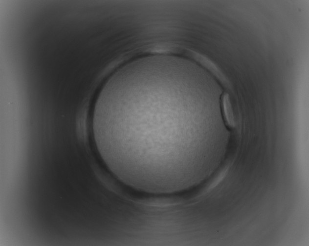 X0000100840530200807070935