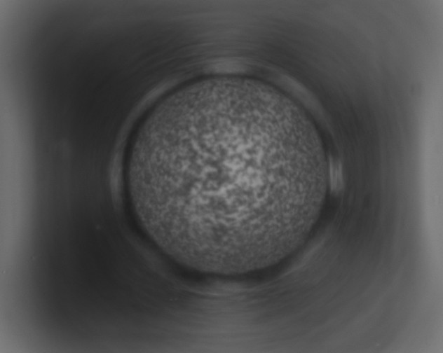 X0000100840531200807070935