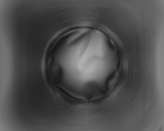 X0000100840532200807070935