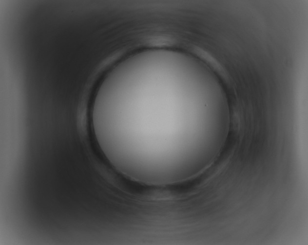 X0000100840535200807070935