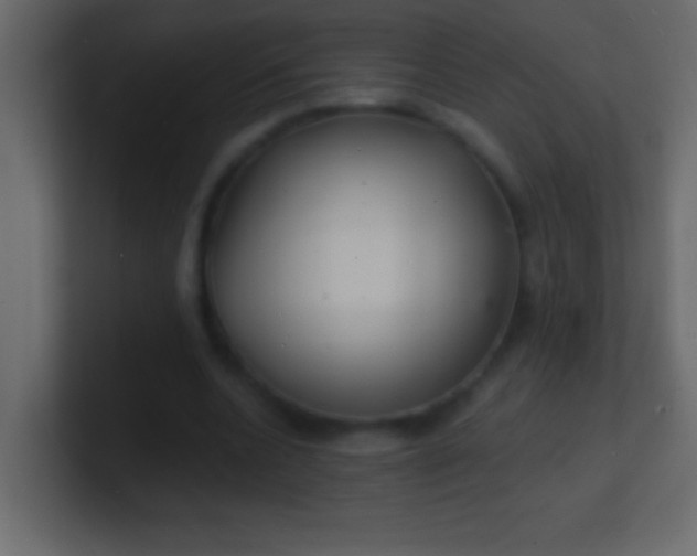 X0000100840536200807070935