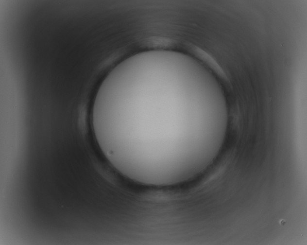 X0000100840538200807070935