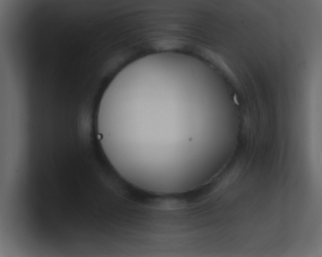 X0000100840539200807070935