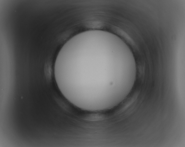 X0000100840541200807070935