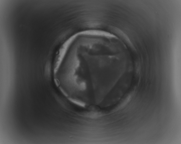 X0000100840542200807070935