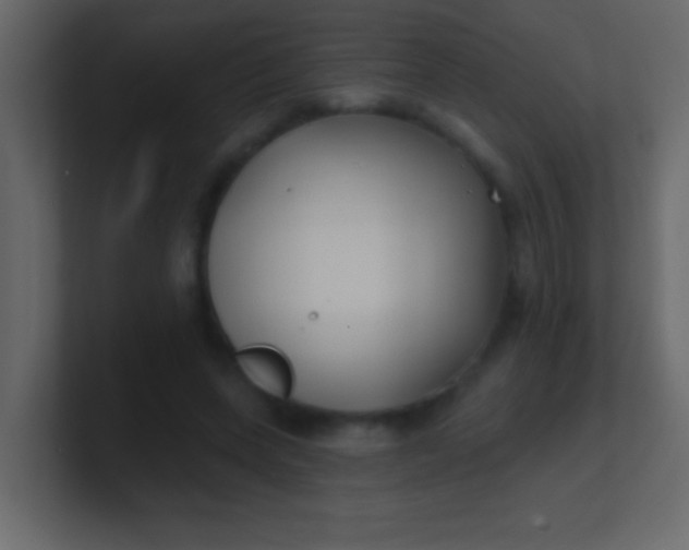 X0000100840543200807070935