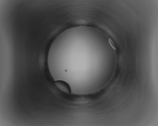 X0000100840544200807070935