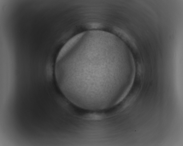 X0000100840545200807070935