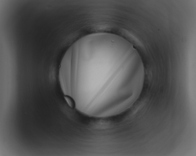 X0000100840546200807070935