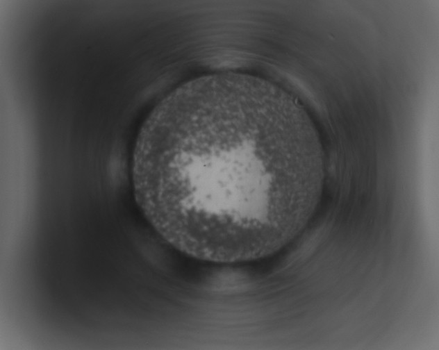 X0000100840547200807070935