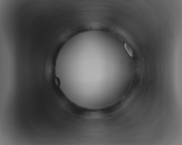 X0000100840548200807070935