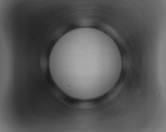 X0000100840549200807070935