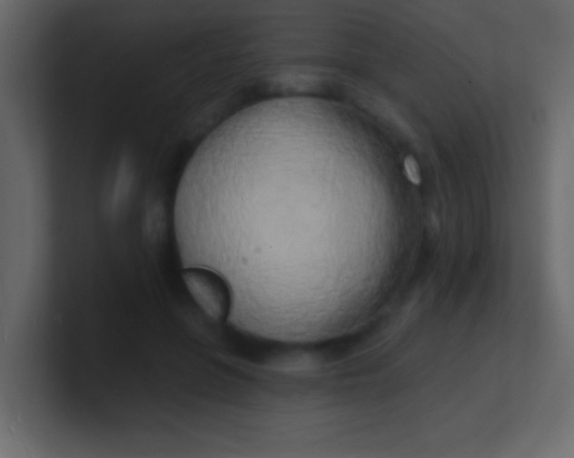 X0000100840551200807070935