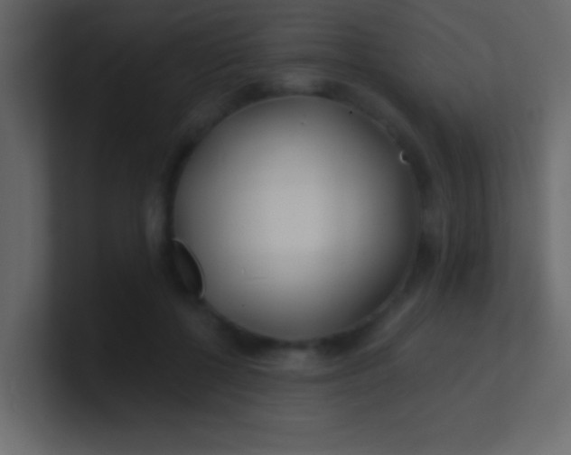 X0000100840552200807070935