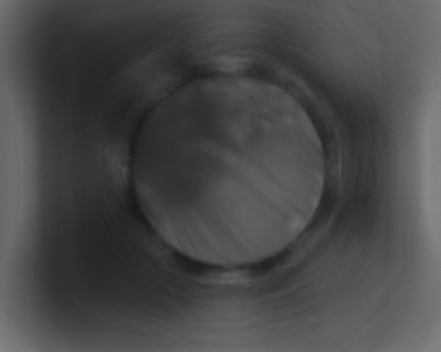 X0000100840553200807070935