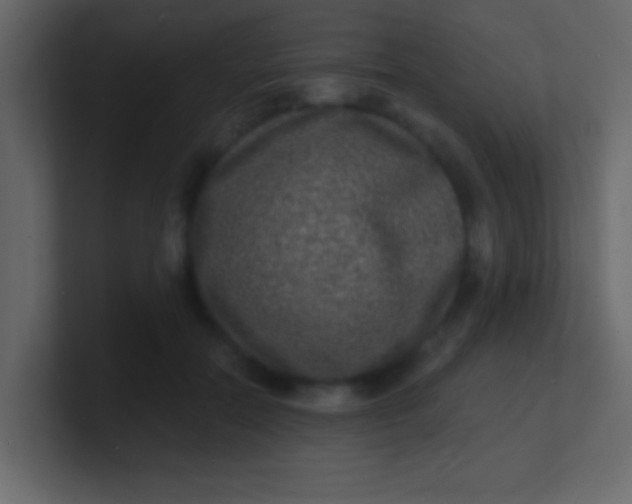 X0000100840554200807070935