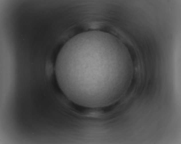 X0000100840555200807070935