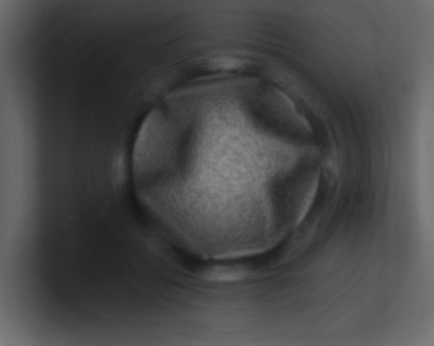 X0000100840556200807070935