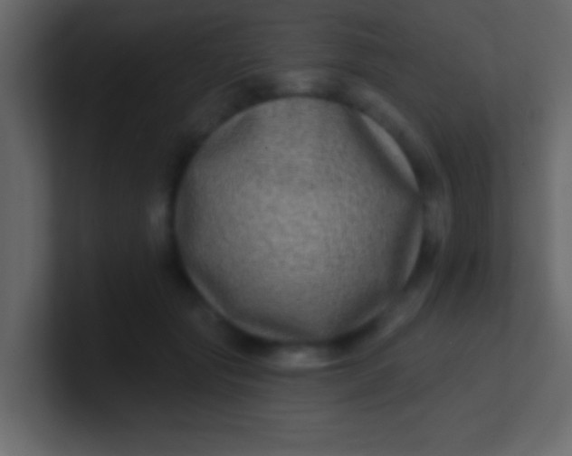 X0000100840557200807070935