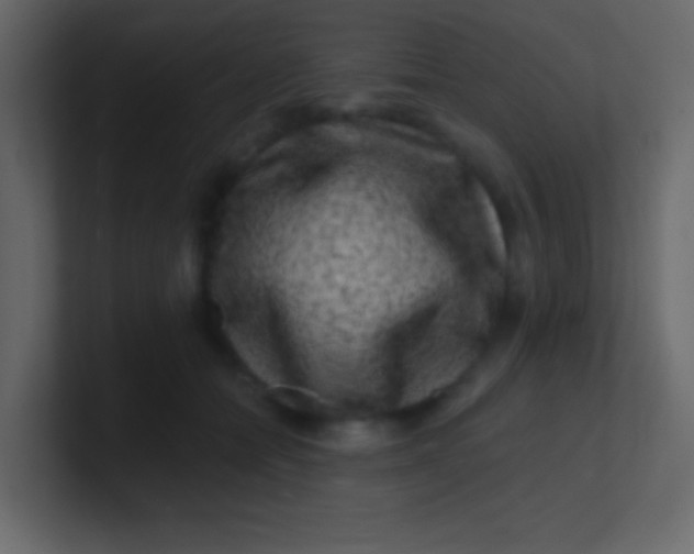 X0000100840558200807070935