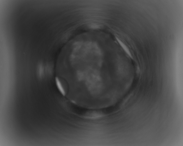 X0000100840559200807070935