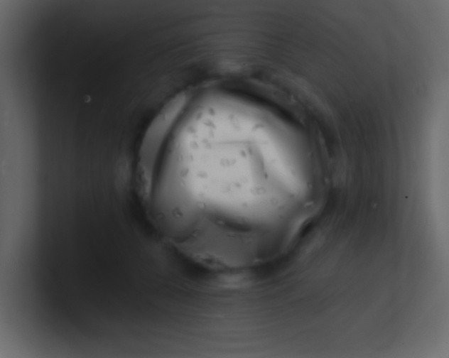 X0000100840560200807070935