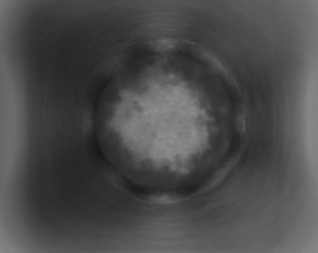 X0000100840561200807070935