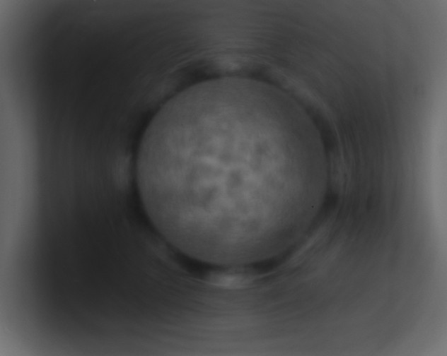 X0000100840563200807070935