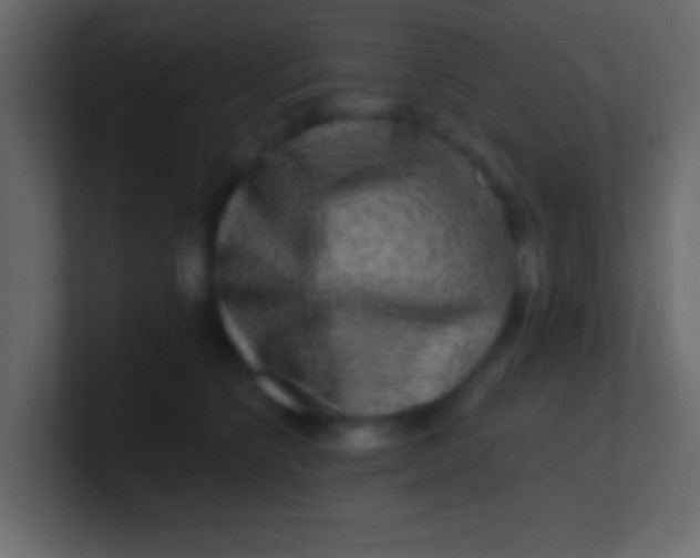 X0000100840564200807070935