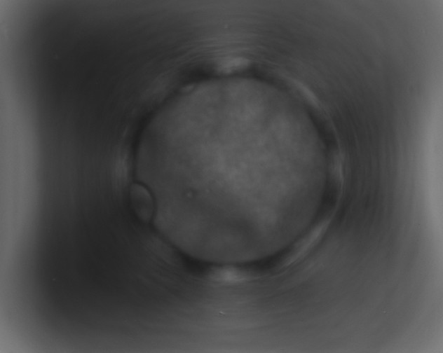 X0000100840565200807070935