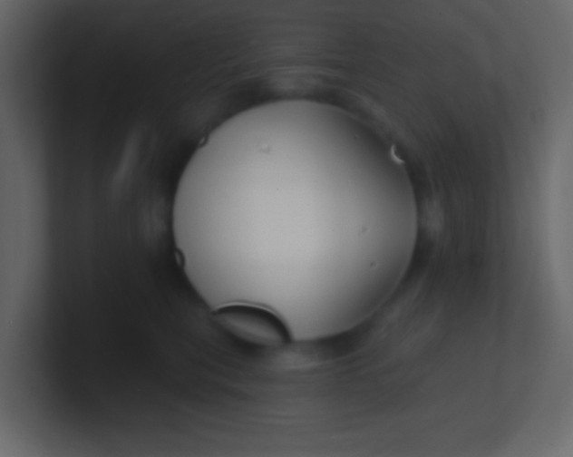 X0000100840567200807070935