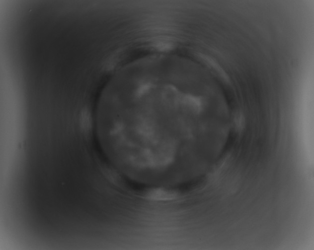 X0000100840568200807070935