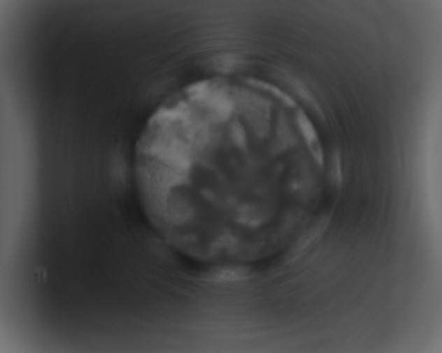 X0000100840569200807070935