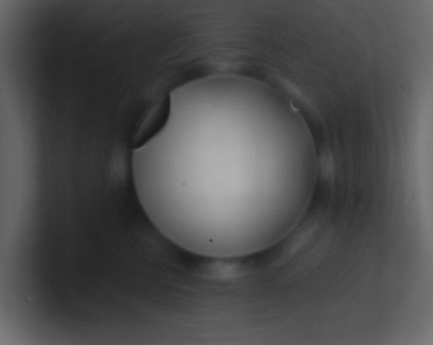 X0000100840570200807070935