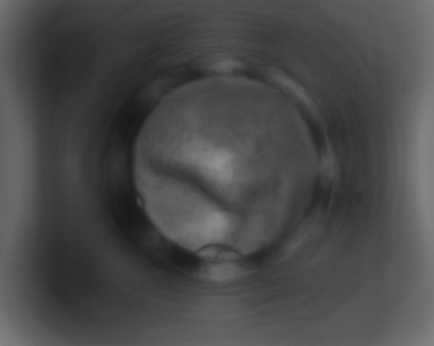 X0000100840572200807070935