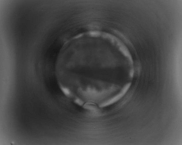 X0000100840573200807070935