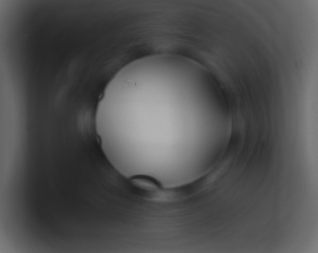 X0000100840575200807070935