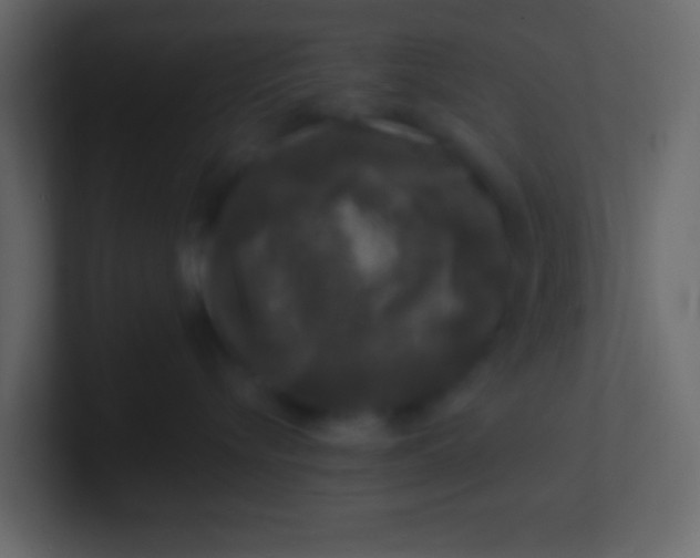 X0000100840576200807070935