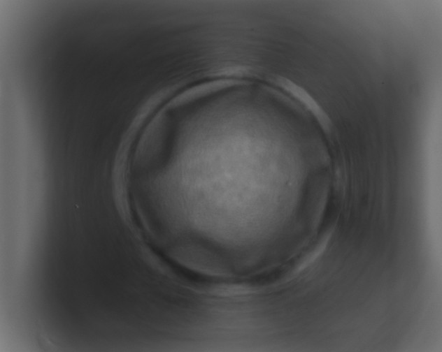 X0000100840577200807070935