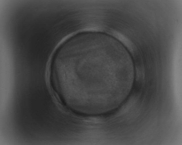 X0000100840580200807070935