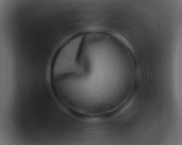 X0000100840581200807070935