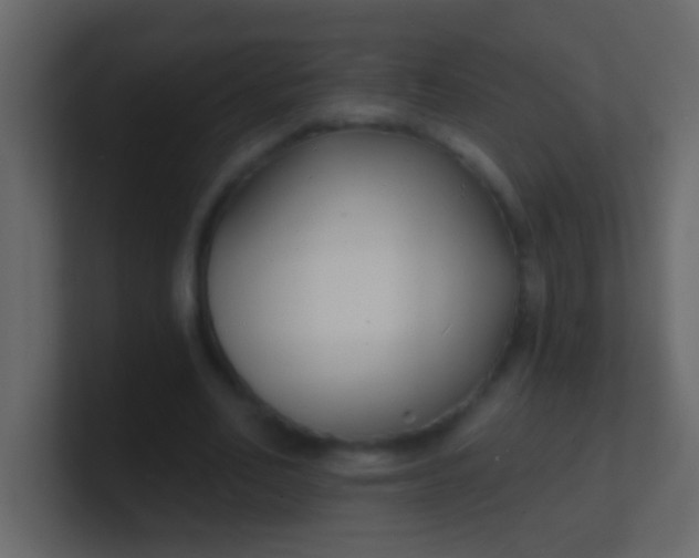 X0000100840582200807070935