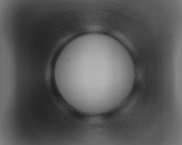 X0000100840583200807070935